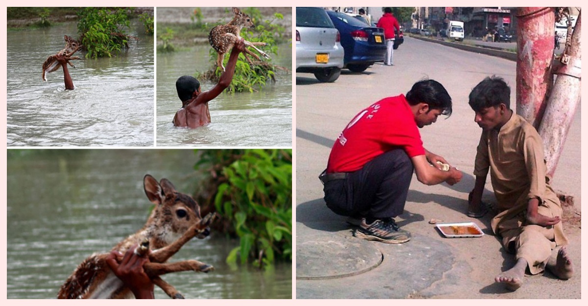 15 Fotografías Que Te Harán Recobrar La Fe En La Humanidad Tronya 