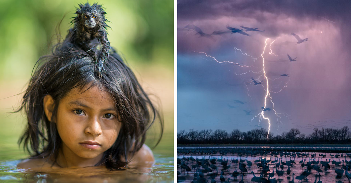 Las Mejores Fotograf As Del A O Seg N National Geographic Tronya