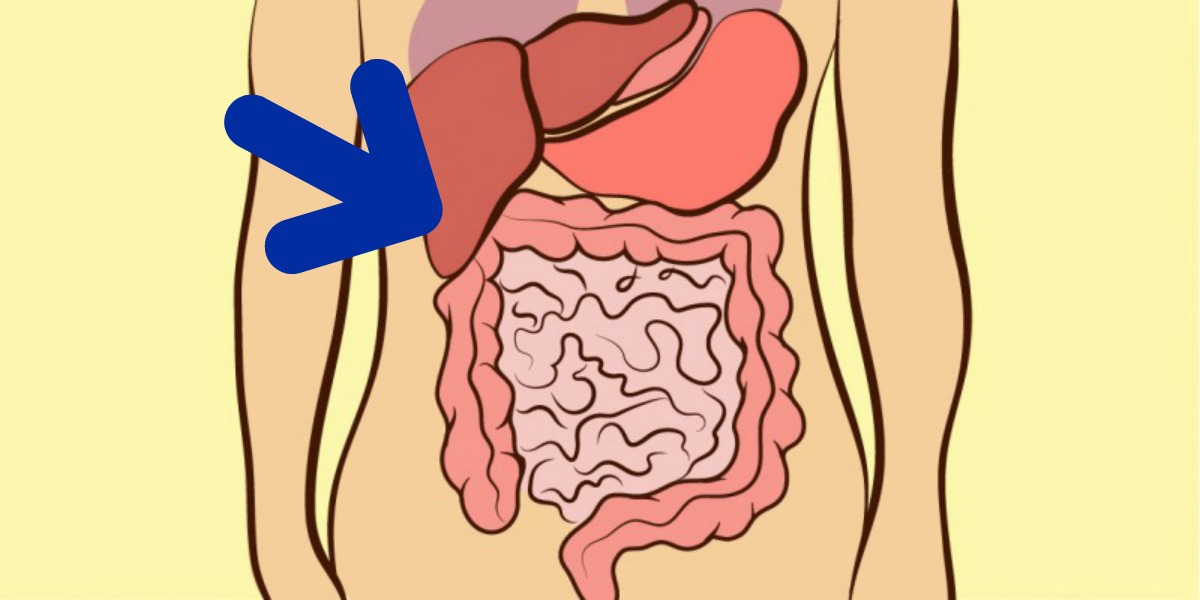 9 Síntomas Que Revelan Por Qué Te Duele El Estómago ¡Está Alerta! | Tronya